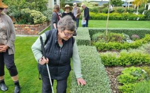 Woman Touching Plants at a Garden
