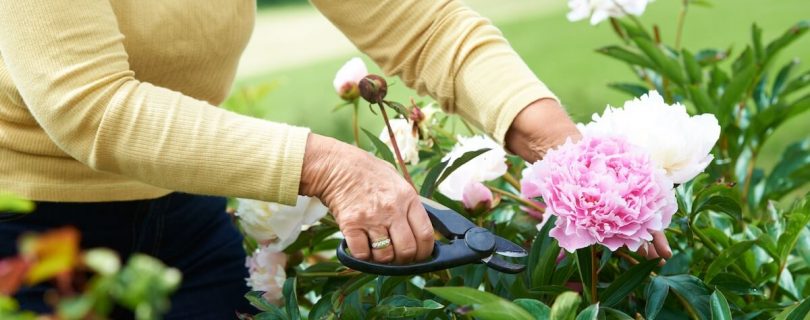 Woman Gardening Her Flowers