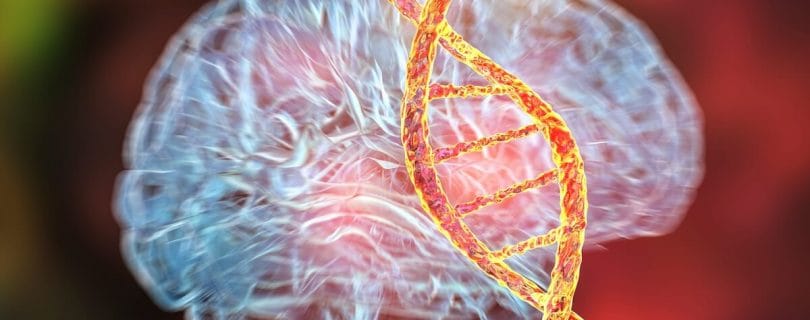ADN and dementia. Understanding the link between Alzheimer's and genetics
