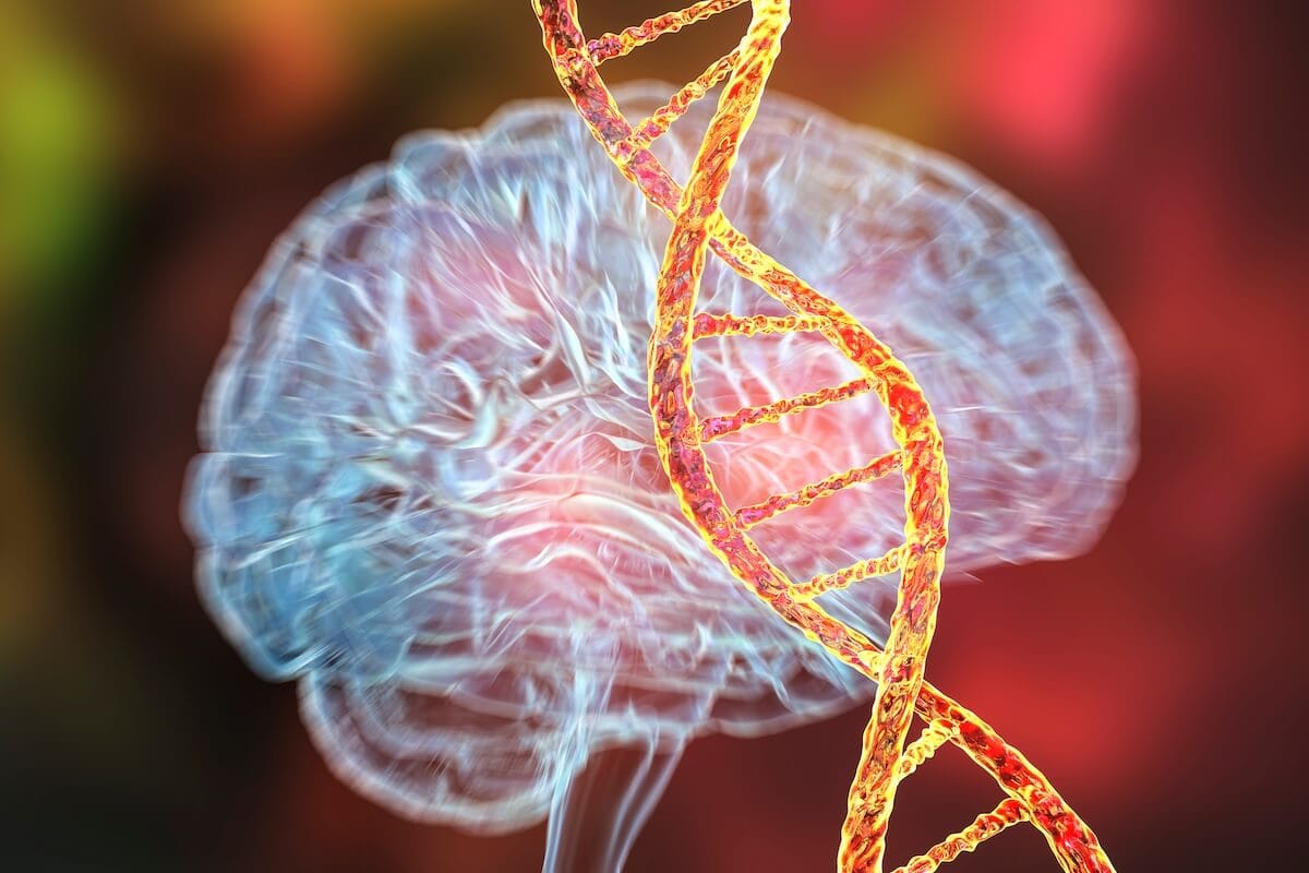ADN and dementia. Understanding the link between Alzheimer's and genetics